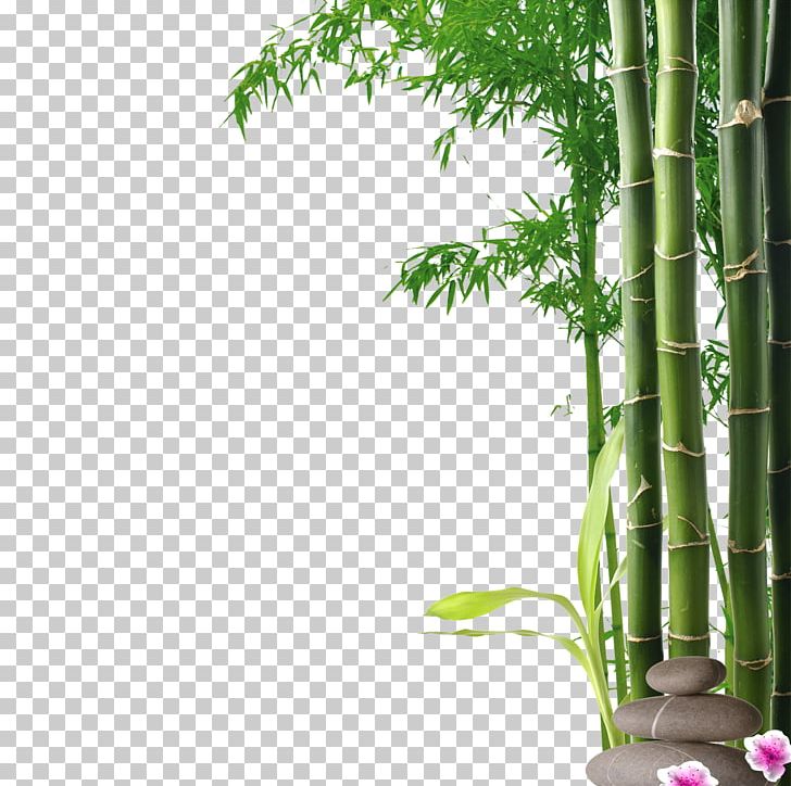 Mural Wall Nature Painting Art PNG, Clipart, Bamboo, Bamboo Border, Bamboo Frame, Bamboo House, Bamboo Leaf Free PNG Download