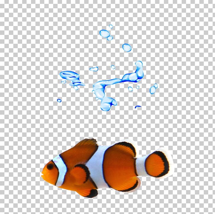T-shirt Clownfish PNG, Clipart, Aquarium Fish, Black And White, Computer Wallpaper, Designer, Encapsulated Postscript Free PNG Download