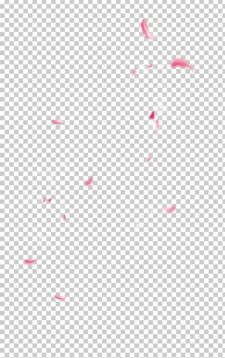 Textile Petal Angle Pattern PNG, Clipart, Angle, Circle, Floating, Flower Fly, Fly Free PNG Download