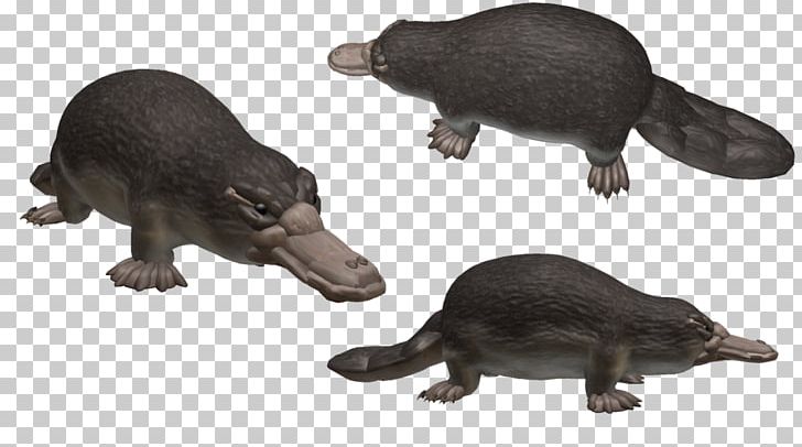 Beaver Platypus Spore Creatures Monotreme PNG, Clipart, Animal Figure, Animals, Art, Beaver, Carnivoran Free PNG Download