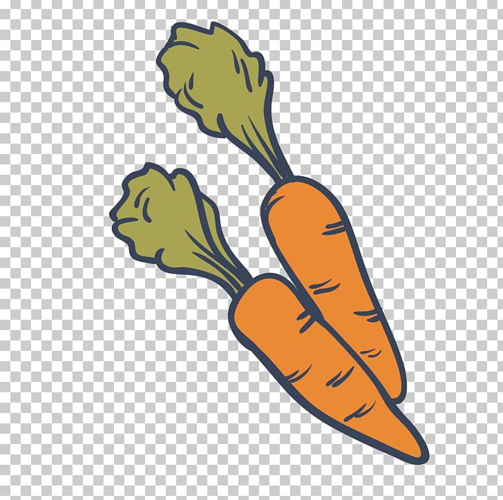 Drawing Carrot Vegetable Food PNG, Clipart, Alimento Saludable, Bunch Of  Carrots, Carro, Carrot Cartoon, Carrot Juice