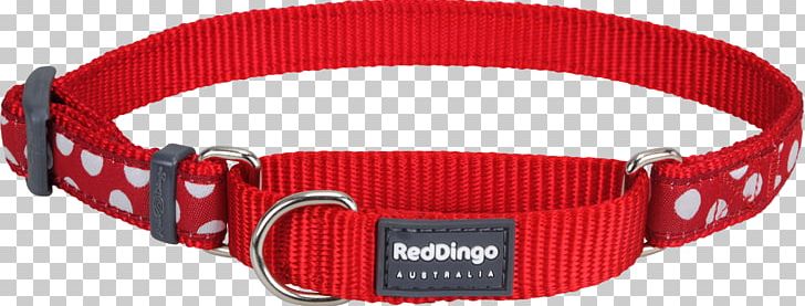 Dog Collar Dingo Strap Belt PNG, Clipart, Belt, Belt Buckle, Belt Buckles, Buckle, Collar Free PNG Download