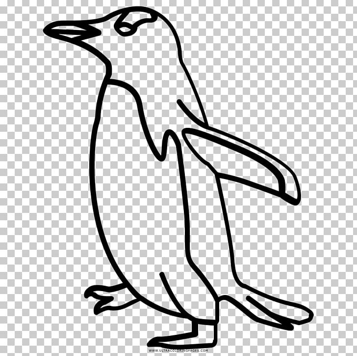 Penguin Bird Black And White Drawing PNG, Clipart, Animal Figure, Animals, Artwork, Beak, Bird Free PNG Download