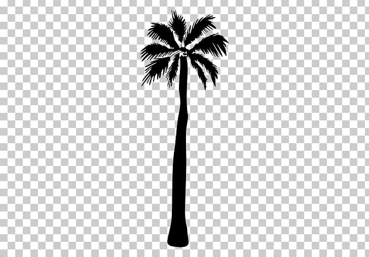 Asian Palmyra Palm Silhouette Arecaceae PNG, Clipart, Animals, Are, Arecales, Asian Palmyra Palm, Black And White Free PNG Download