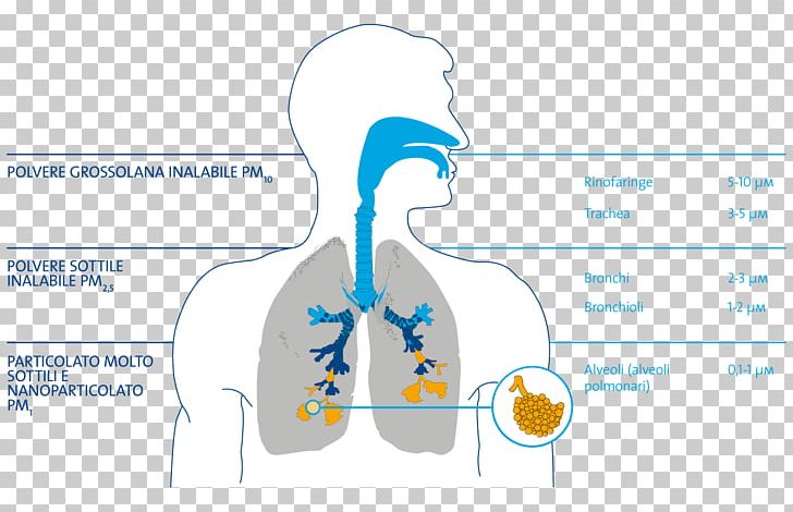 Breathing Water Elixir Of Life Filtration PNG, Clipart, Air, Angle, Area, Brand, Breathing Free PNG Download