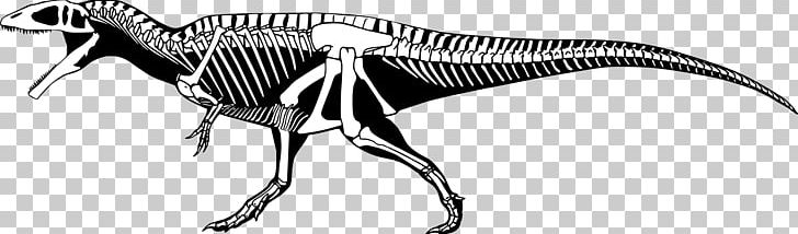 Carcharodontosaurus Mapusaurus Giganotosaurus Tyrannosaurus Acrocanthosaurus PNG, Clipart, Acrocanthosaurus, Allosaurus, Black And White, Carcharodontosauridae, Carcharodontosaurus Free PNG Download