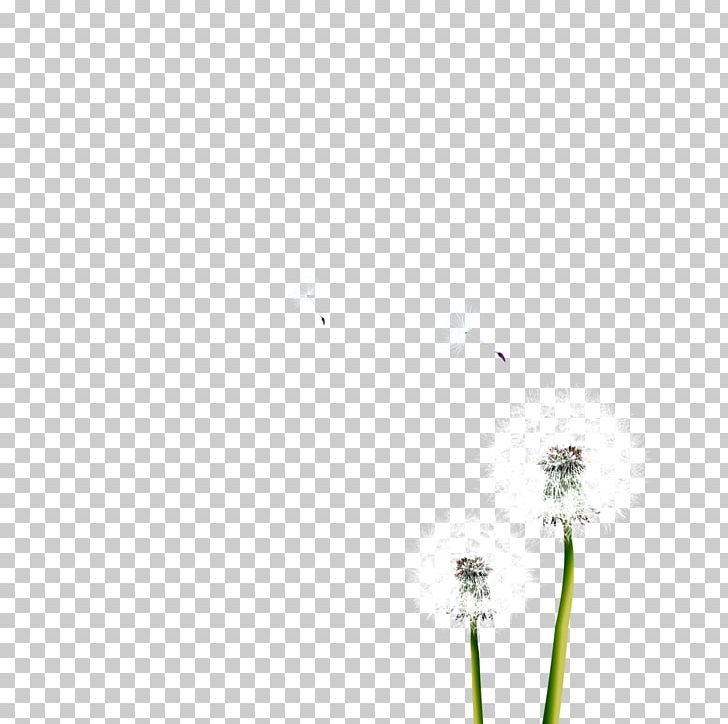Dandelion Resource PNG, Clipart, Angle, Black Dandelion, Dandelion, Dandelion Flower, Dandelions Free PNG Download