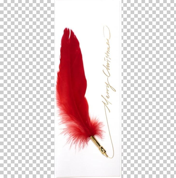 Feather PNG, Clipart, Animals, Christmas, Feather, K K, Pen Free PNG Download