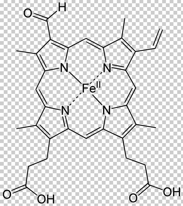 Hemeprotein Porphyrin Chlorocruorin Hemoglobin PNG, Clipart, Angle, Area, Black, Black And White, Blood Free PNG Download