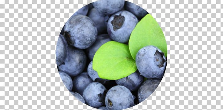 Blueberry Pie Organic Food Apple Juice PNG, Clipart, Antioxidant, Apple Juice, Berry, Bilberry, Blueberry Free PNG Download