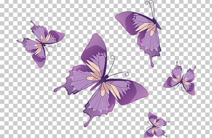 Butterfly Graphics Stock Photography PNG, Clipart, Brush Footed Butterfly, Butterfly, Encapsulated Postscript, Flora, Flower Free PNG Download
