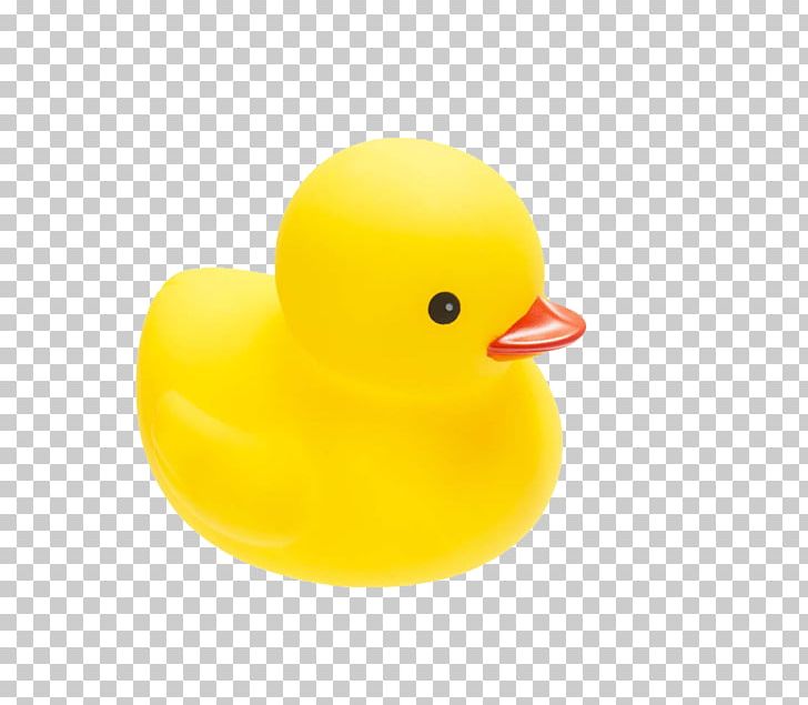 Little Yellow Duck Project Toy PNG, Clipart, Animals, Animation, Beak, Bird, Cartoon Free PNG Download