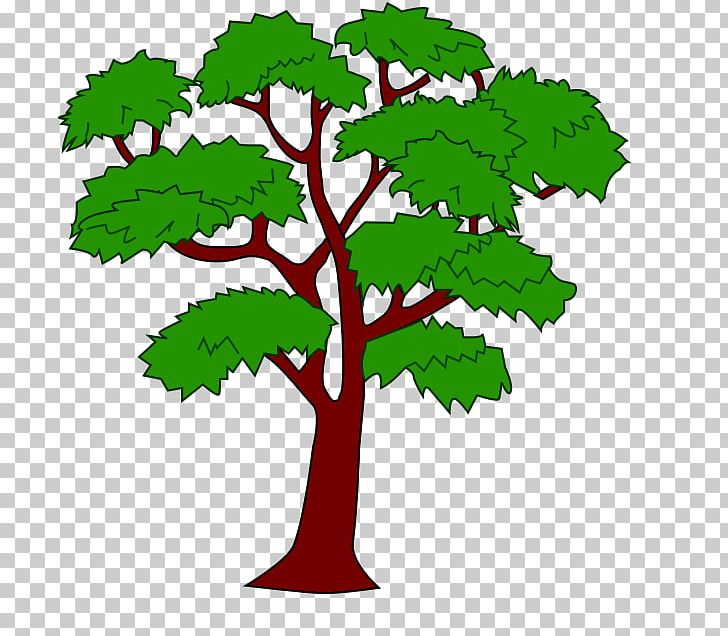 Mahogany Draw Trees PNG, Clipart, Artwork, Branch, Clip Art, Computer Icons, Draw Free PNG Download