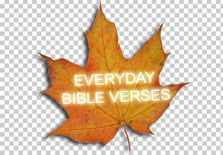 Maple Leaf PNG, Clipart, Bible Verses, Leaf, Maple, Maple Leaf, Plant Free PNG Download