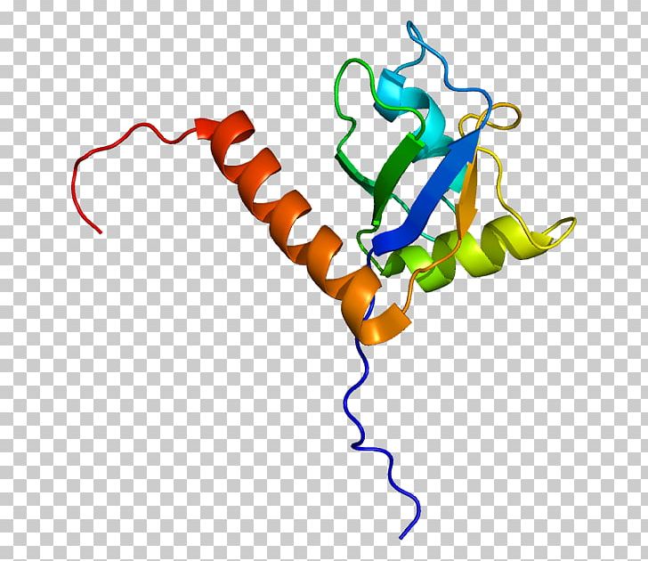 Single-stranded Binding Protein Sjögren Syndrome Antigen B PNG, Clipart, Antigen, Area, Artwork, Biochemistry, Dna Free PNG Download