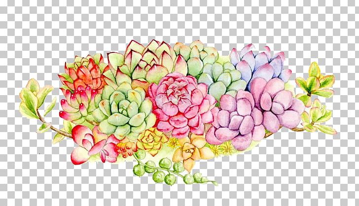 Succulent Plant Floral Design Watercolor Painting PNG, Clipart, Cartoon, Color, Color Of Lead, Color Pencil, Color Powder Free PNG Download
