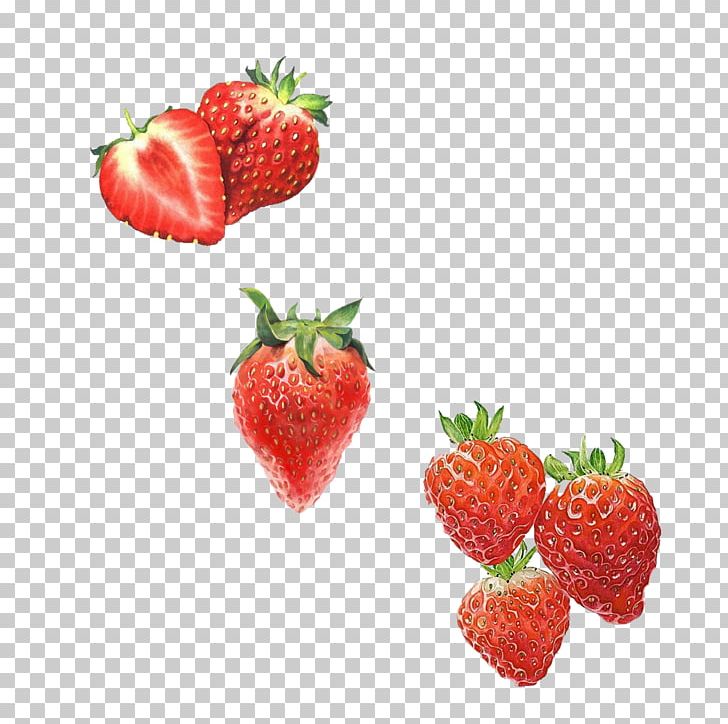 Amorodo Drawing Computer File PNG, Clipart, Berry, Download, Food, Free Logo Design Template, Fruit Free PNG Download