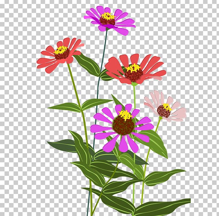 Garden Cosmos Zinnia Cut Flowers Color PNG, Clipart, Annual Plant, Chrysanths, Color, Cosmos, Cut Flowers Free PNG Download