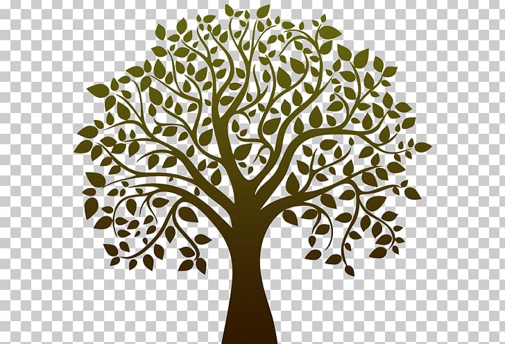 Tree Black And White Drawing PNG, Clipart, Art Life, Birch, Black And White, Branch, Clip Art Free PNG Download