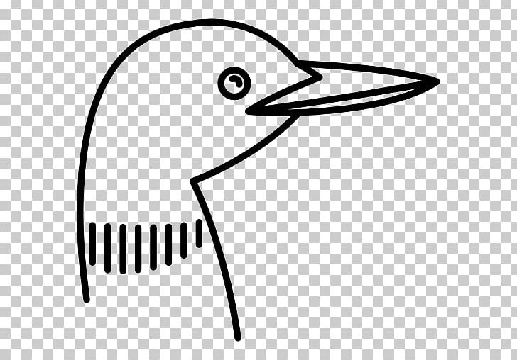 Bird Duck Feather PNG, Clipart, Animal, Animals, Area, Artwork, Beak Free PNG Download