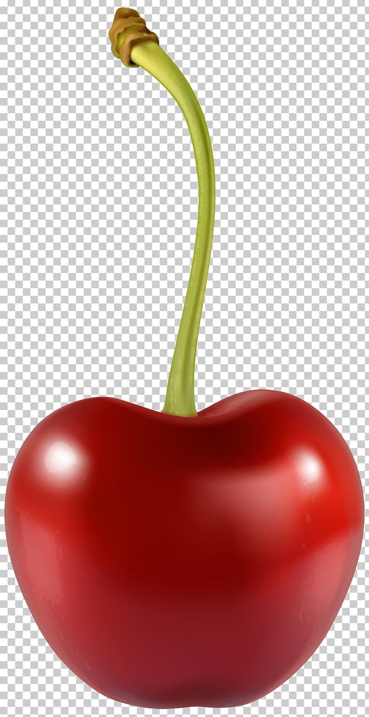 Cherry Berry Fruit PNG, Clipart, Bell Pepper, Bell Peppers And Chili Peppers, Berry, Black Cherry, Cherry Free PNG Download