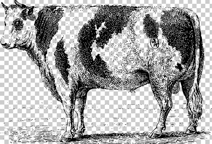 Dairy Cattle Ox Bull PNG, Clipart, Animals, Black And White, Brand, Bull, Bull Cattle Free PNG Download