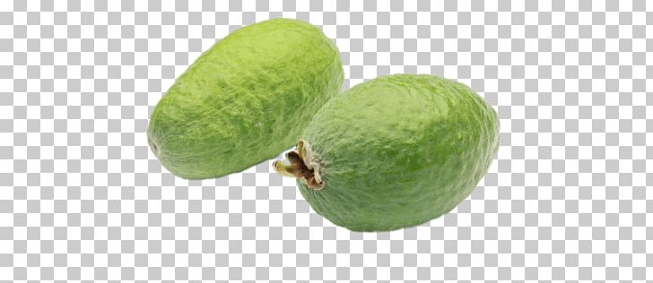Feijoa Key Lime Superfood PNG, Clipart, Feijoa, Food, Fruit, Fruit Nut, Key Lime Free PNG Download