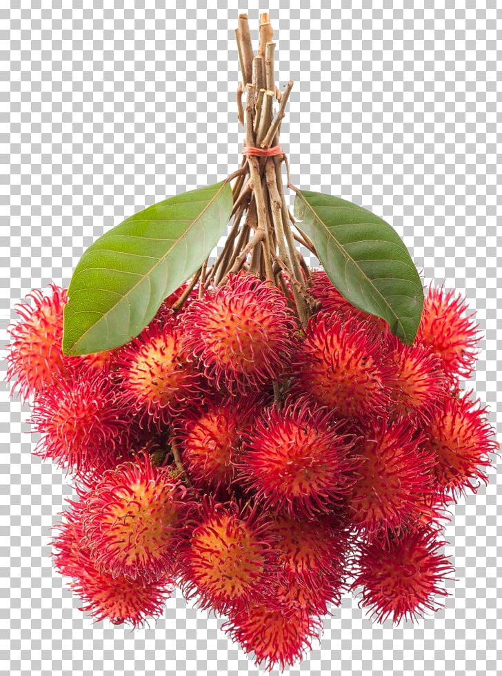 Rambutan Fruit Portable Network Graphics PNG, Clipart, Food, Fruit, Fruit Exotique, Jason, Lychee Free PNG Download