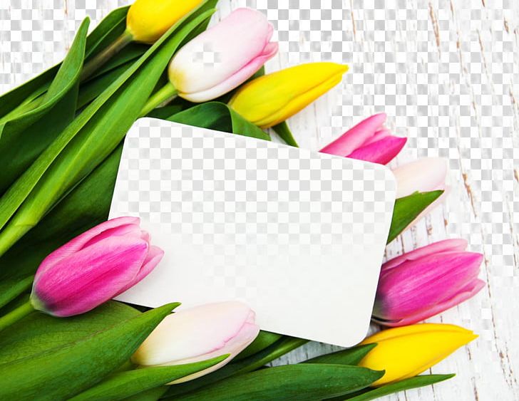 Tulip Flower PNG, Clipart, Artificial Flower, Beautiful Tulips And A Card, Birthday Card, Business Card, Flowers Free PNG Download
