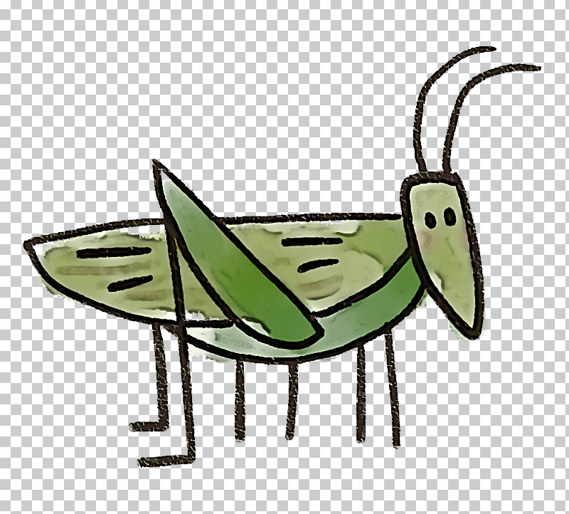 Insect Grasshopper PNG, Clipart, Grasshopper, Insect Free PNG Download