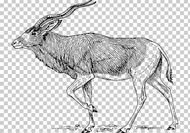 Addax PNG, Clipart, Animal Figure, Antelope, Artwork, Black And White, Black Wildebeest Free PNG Download
