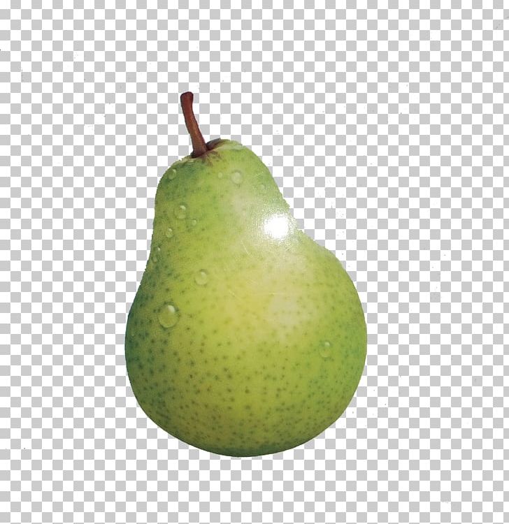 European Pear Fruit PNG, Clipart, Apple, Chart, Euclidean Vector, European Pear, Food Free PNG Download