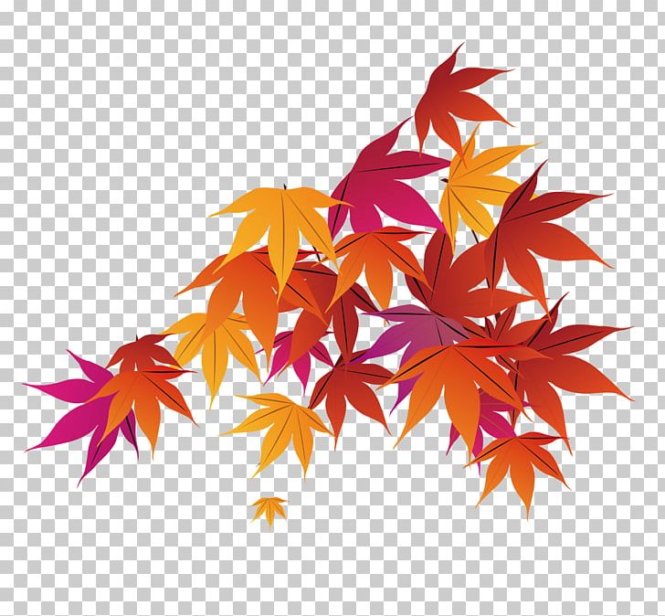 Red Maple Maple Leaf Autumn PNG, Clipart, Autumn Maple Leaves, Cartoon, Cartoon Hand Drawing, Christmas Decoration, Decoration Free PNG Download