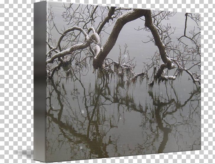 Stock Photography Wood /m/083vt PNG, Clipart, Branch, Hotelschiff Stinne, M083vt, Nature, Photography Free PNG Download