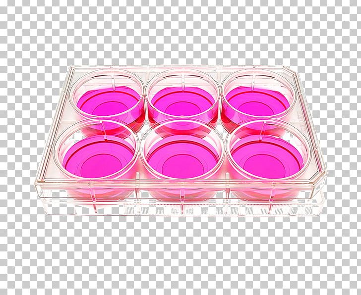 Cell Culture Tissue Culture Glass Cover Slip Plate PNG, Clipart, Art, Cell, Cell Culture, Cosmetics, Cover Slip Free PNG Download