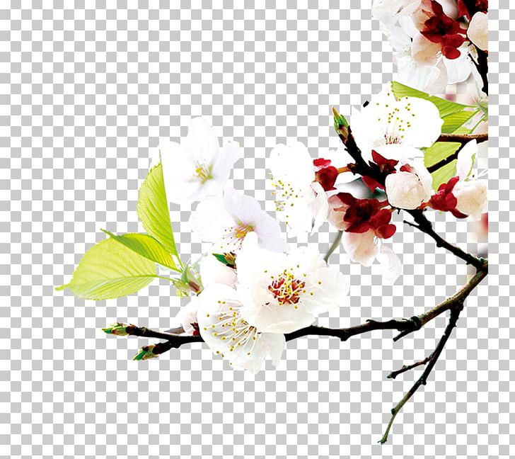 Central Vietnam Web Banner World Wide Web Website PNG, Clipart, Banner, Bloom, Blossom, Blossoms, Blue Free PNG Download