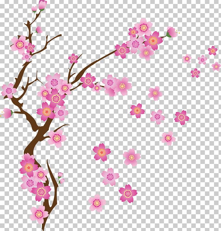 Cherry Blossom Drawing PNG, Clipart, Blossom, Branch, Cherry, Cherry Blossom, Cut Flowers Free PNG Download
