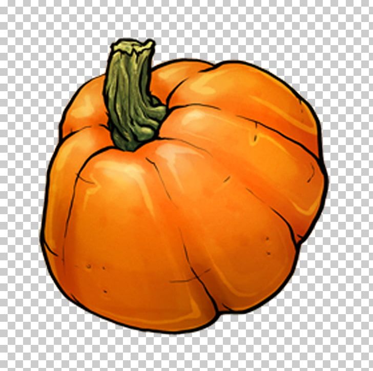 Jack-o'-lantern Pumpkin Winter Squash Vegetable Gourd PNG, Clipart,  Free PNG Download