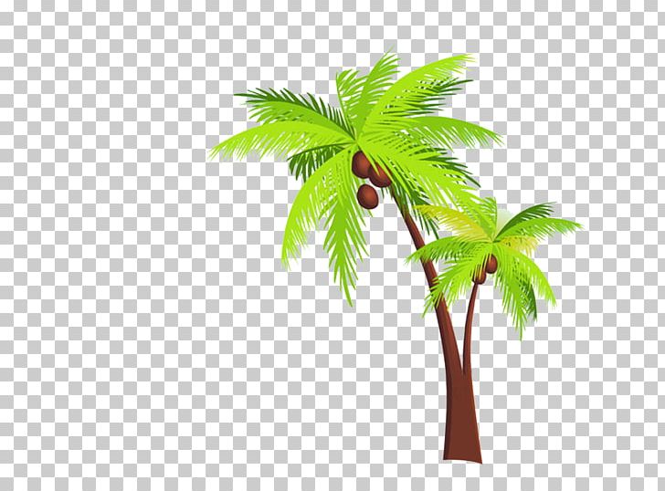 Kerala Arecaceae Coconut Travel Icon PNG, Clipart, Arecaceae, Autumn Tree,  Beach, Cartoon, Christmas Tree Free PNG