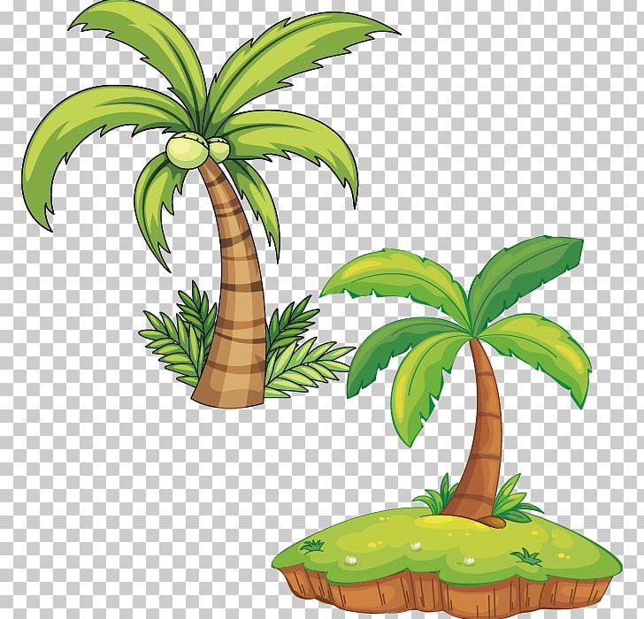 Plant Arecaceae Illustration PNG, Clipart, Arecales, Autumn Tree, Beach Vector, Christmas Tree, Coconut Free PNG Download