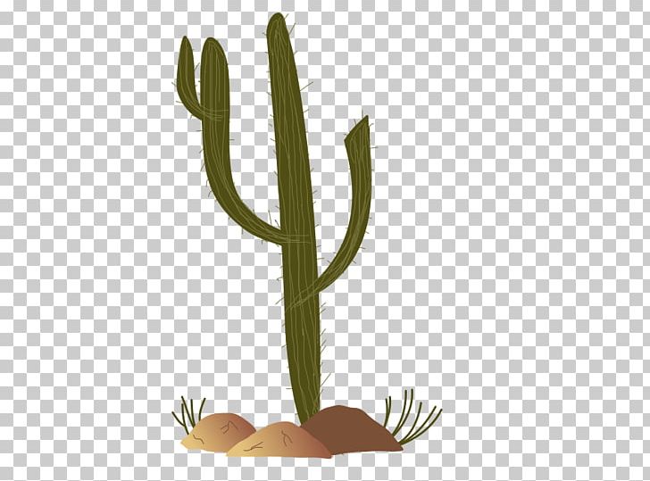 Sonoran Desert Cactaceae Saguaro PNG, Clipart, Cactaceae, Cactus Garden, Cactus Images Free, Flowering Plant, Fouquieria Splendens Free PNG Download