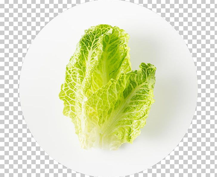 Leaf Vegetable Food Romaine Lettuce PNG, Clipart, Cabbage, Chipotle, Chipotle Mexican Grill, Endive, Food Free PNG Download