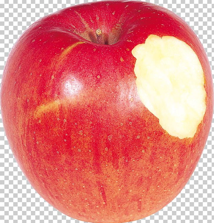 Apple Food PNG, Clipart, Apple, Apple Fruit, Apple Logo, Apples, Apple Tree Free PNG Download