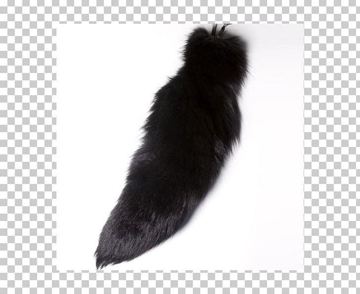 Fur Tail Black M PNG, Clipart, Black, Black M, Dog Like Mammal, Fur, Others Free PNG Download