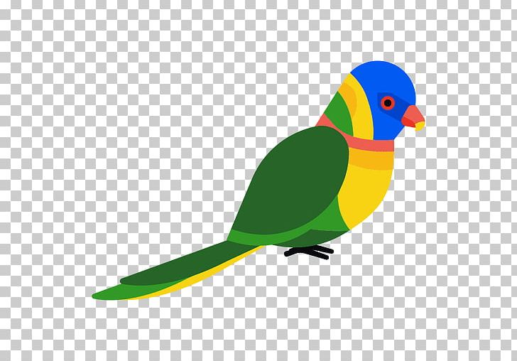 Parakeet Bird Cockatoo PNG, Clipart, Animals, Beak, Bird, Blueeyed Cockatoo, Cockatoo Free PNG Download