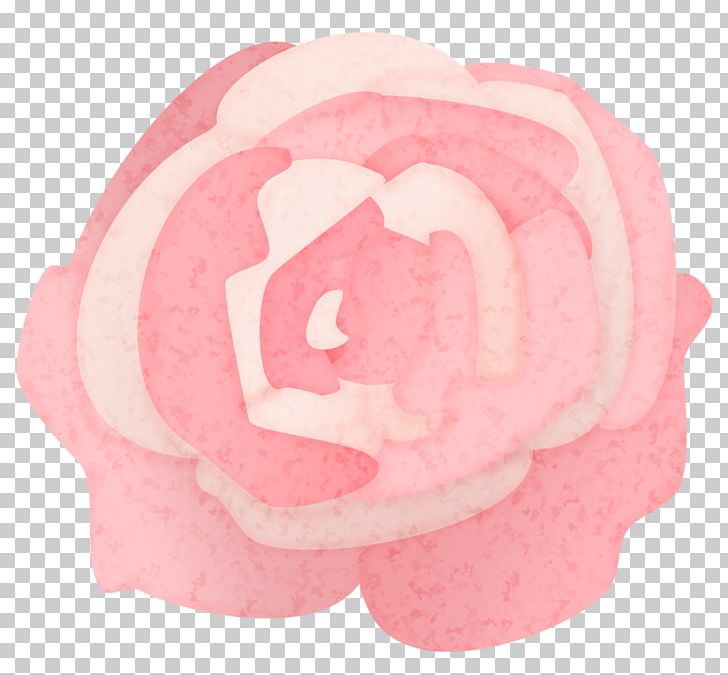 Rose Rosxe9 Pink Flower PNG, Clipart, Dia Dos Namorados, Encapsulated Postscript, Flower, Flowers, Peach Free PNG Download