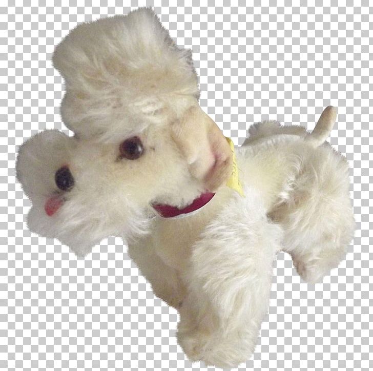 West Highland White Terrier Maltese Dog Schnoodle Dog Breed Companion Dog PNG, Clipart, Animal, Animals, Breed, Breed Group Dog, Canidae Free PNG Download