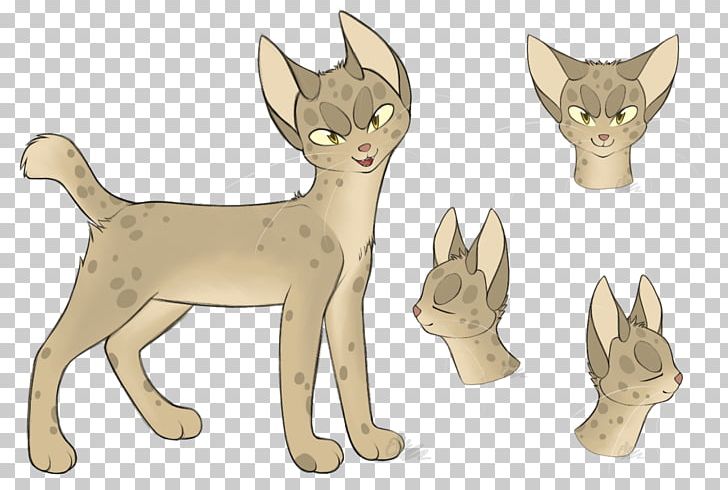 Whiskers Kitten Pixie-bob Devon Rex Abyssinian Cat PNG, Clipart, Abyssinian Cat, Animals, Art, Bombay Cat, Breed Free PNG Download