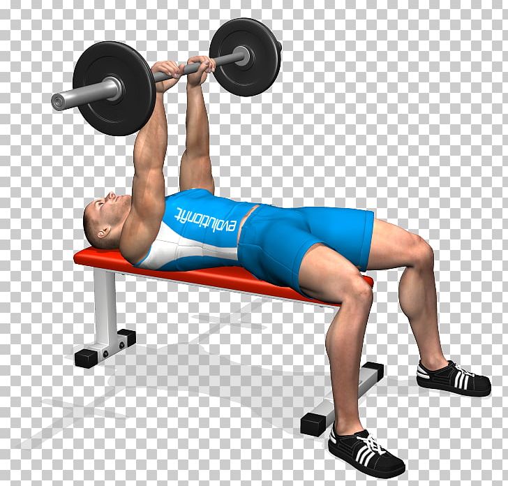Weight Training Barbell Bench Press Triceps Brachii Muscle PNG, Clipart, Abdomen, Arm, Balance, Barbell, Exercise Free PNG Download
