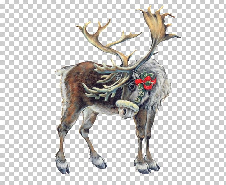 Pxe8re Noxebl Lapland Reindeer Santa Claus Christmas PNG, Clipart, Animal, Animals, Antler, Cartoon, Christmas And Holiday Season Free PNG Download